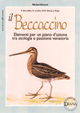 Il beccaccino