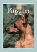 Il Pincher nano