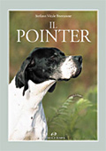 Il Pointer