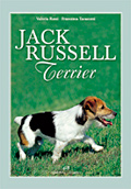 Jack russel terrier