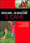 Educare o ri educare il cane