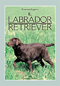 Il labrador retriever