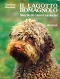 Il lagotto romagnolo