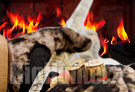 liguria ridotto a 3 anni divieto di caccia in zone incendiate