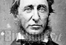 Henry David Thoreau