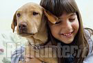 Cani e bambini: le regole per evitare i morsi