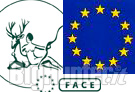 FACE EUROPA