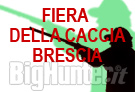 Fiera della Caccia a Brescia