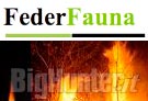 Federfauna su Lav e incendi