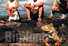 Equilibrio Galapagos in pericolo