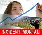 Incidenti di caccia: si muore molto di più in casa