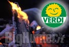 Verdi sulle aree incendiate