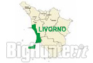 Atc Livorno