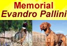 Memorial Evandro Pallini a Capannori