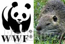WWF su problema nutrie