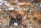 Educazione ambientale parco regionale Antola