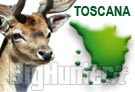 Toscana Coldiretti sull'ermergenza ungulati