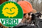 Emendamenti Verdi deroghe Lombardia