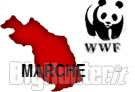 Wwf marche su caccia parco del Conero