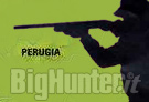 Consulta caccia Perugia