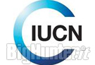 Lista rossa IUCN
