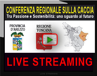Video in diretta della Conferenza di Arezzo