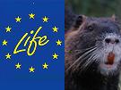 Life specie invasive