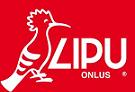 Lipu