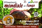 Campionato mondiale del fungo