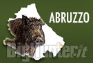 /Portals/0/notizie/135%202016/cinghiale-abruzzo-135px.jpg