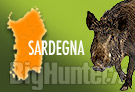 Cinghiale Sardegna