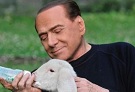 Berlusconi agnello