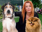 Cosa mangiano i cani degli animalisti