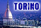 Torino contro la caccia selvaggia