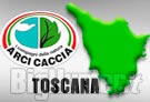 Arcicaccia nuovi regolamenti Toscana