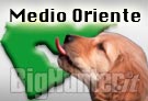 Cane Medio Oriente