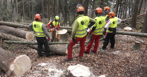 Istruttore forestale
