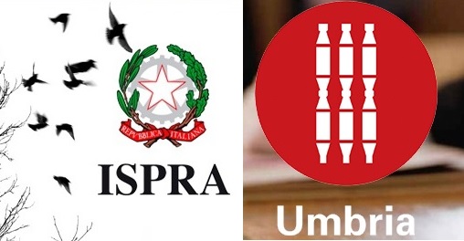 Ispra Umbria preapertura caccia