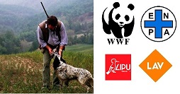 Animalisti polemiche caccia
