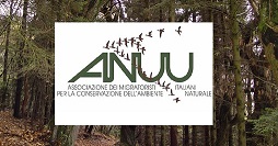 Anuu