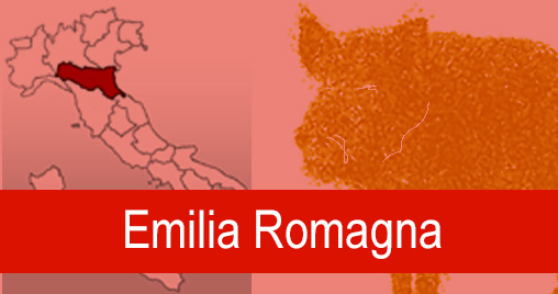 Cinghiali Emilia Romagna