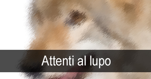 attenti al lupo