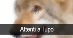 Attenti al lupo