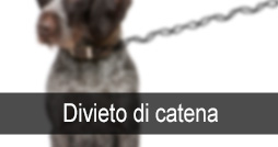 Cani catena