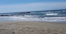 spiaggia attacchi lupo