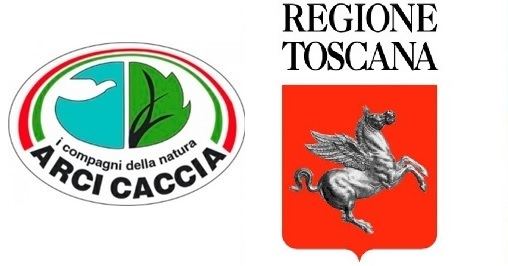 Arci Caccia