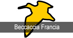 Beccaccia