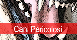 Cani pericolosi