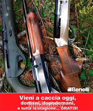 Benelli