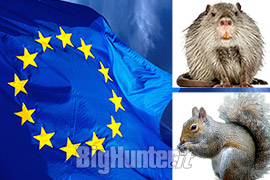 Europa nuovo regolamento Specie invasive